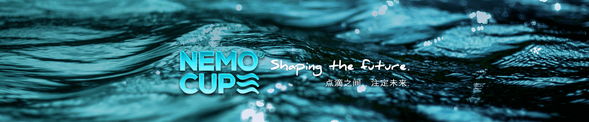 公司介绍
